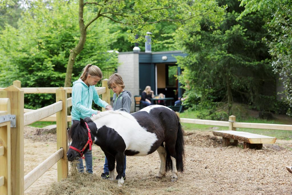 מלון ורנוי ד'אבר אה ד'איטו Center Parcs Les Bois Francs מראה חיצוני תמונה